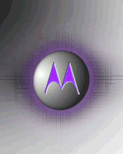 motorolaflash1.gif