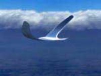 SSAircraft1.jpg