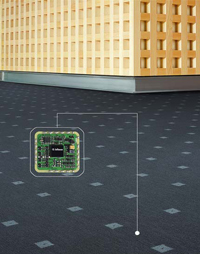 carpet.jpg carpet.jpg