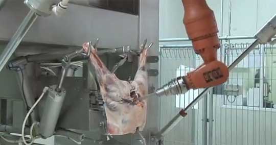 Robotic Butchery - Where Butchers Are Engineers