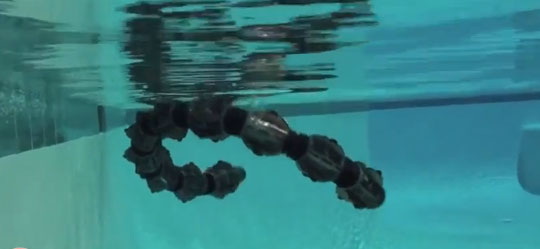 Motha f*$#*(@ Snake Robots In a Pool !