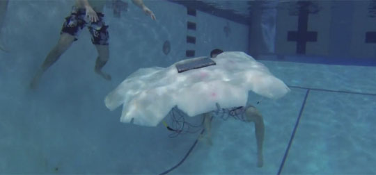 The Jellyfish Robot