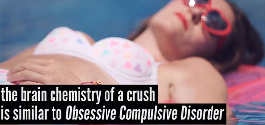 The Science of Having A Crush