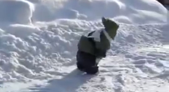 Monkey in a Snowsuit