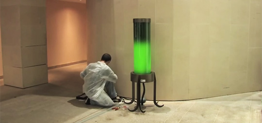 Revisiting the Microalgae Lamp which Absorbs CO2