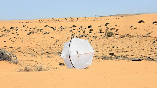 Wind-Powered Tumbleweed Robot