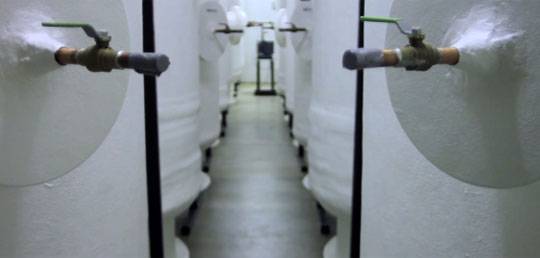 Meet the People Who Store Humans Frozen for the Future