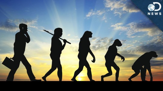 Is It Possible For Evolution To Reverse? - HIGH T3CH