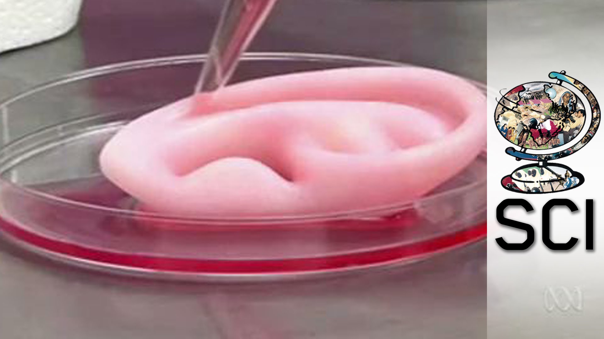 Could Printed Organs Be The Key To Immortality?
