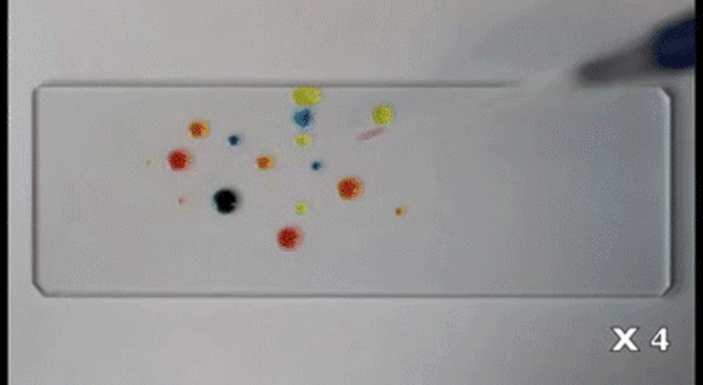 These Colorful Liquid Droplets Chase Each Other Like Living Organisms