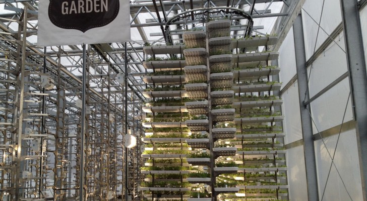 World’s Largest Indoor Vertical Farm - Producing 2 Million Pounds Of Food