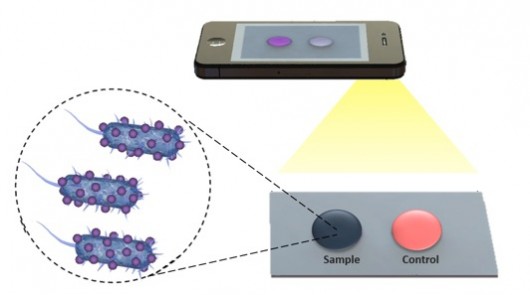 New biosensing platform extends reach of disease diagnosis