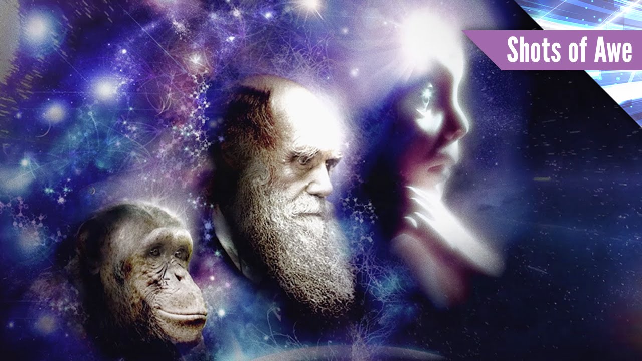 We Are An Evolutionary Force
