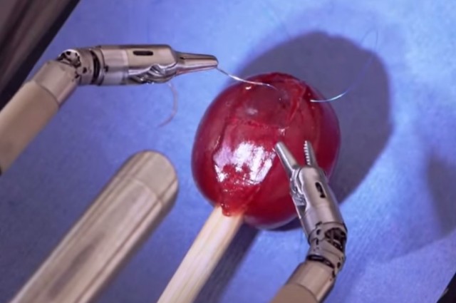 Watch A Tiny Robot Perform Surgery On A Grape