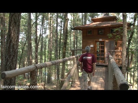 This Amazing Tree Cabin Has Electricity and Even a Rooftop Deck
