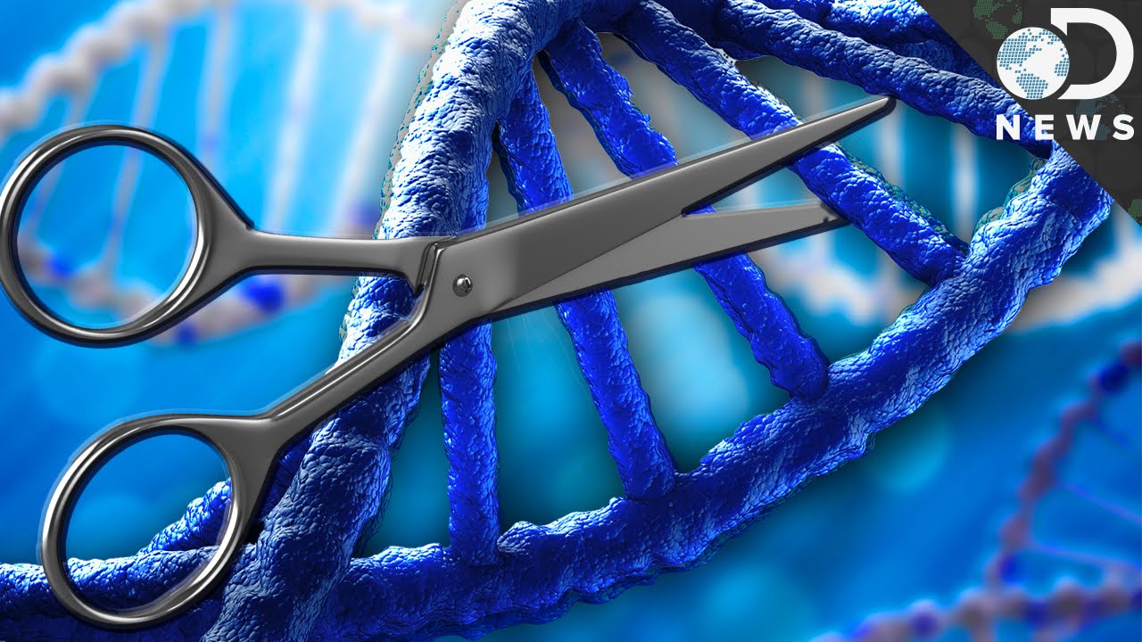 What is CRISPR & How Could It Edit Your DNA?