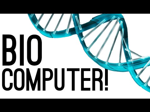 Nano-Biological Computing – Quantum Computer Alternative