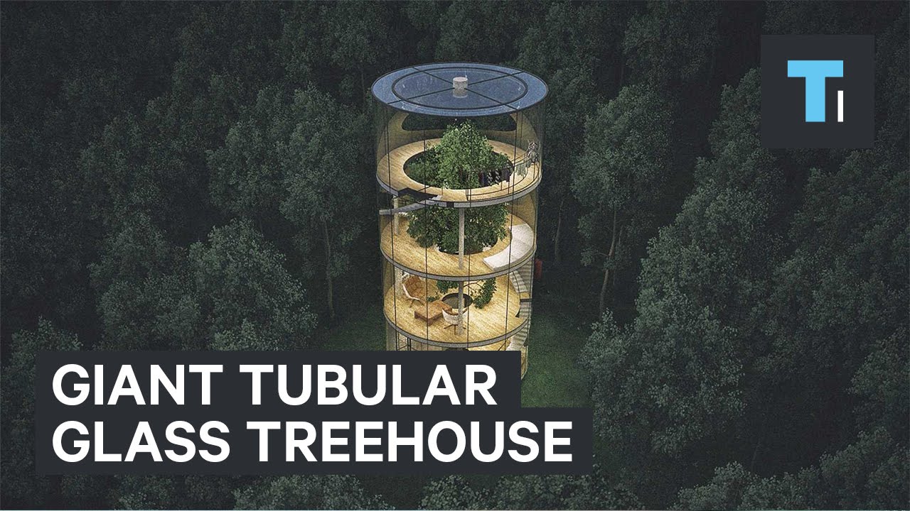 Giant tubular glass treehouse
