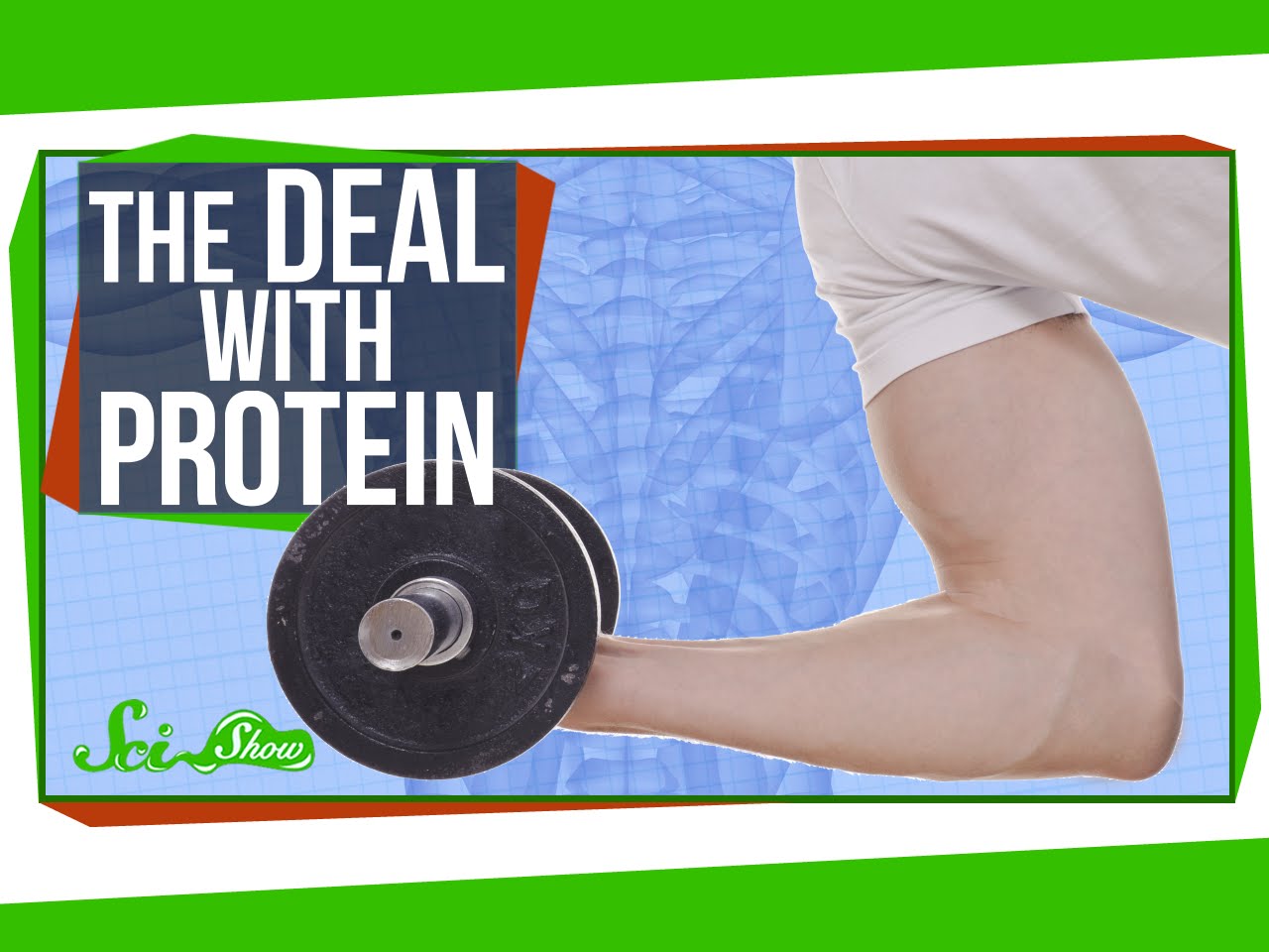 The Deal with Protein