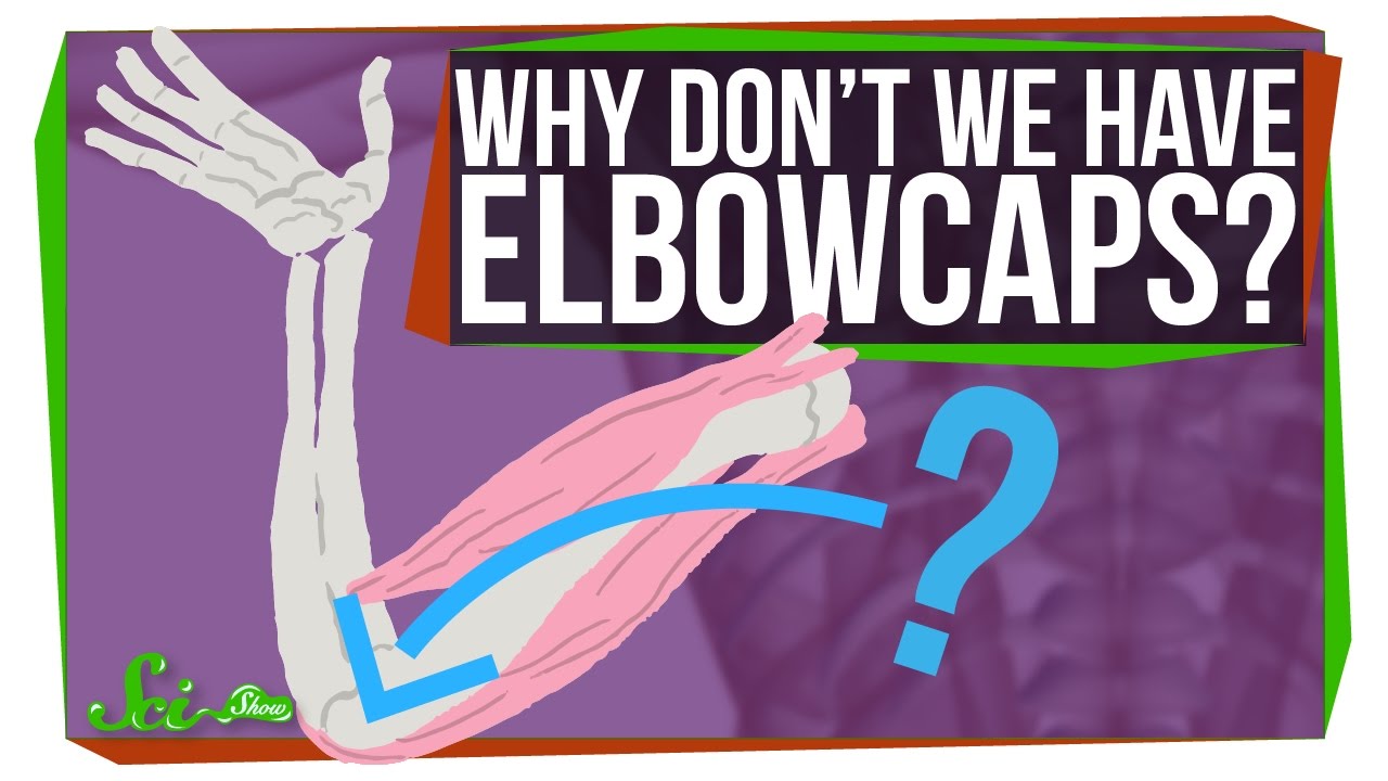 Why Don't We Have Elbowcaps?