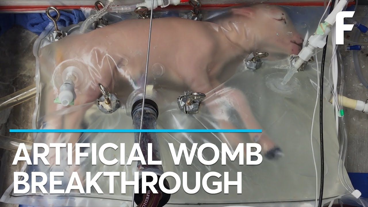 Scientists Create An Artificial Womb