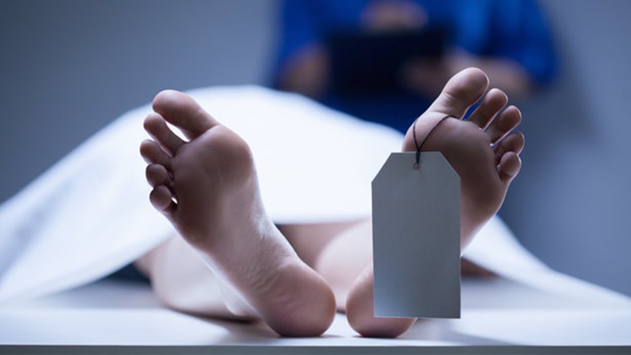 US Company to Start Trials 'Reawakening the Dead'