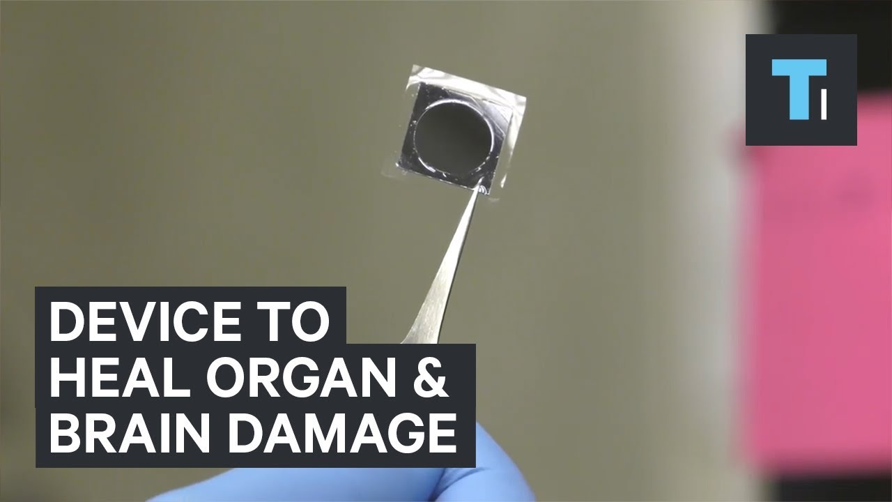 Scientists are testing out a device that could heal organs and brain injuries in seconds