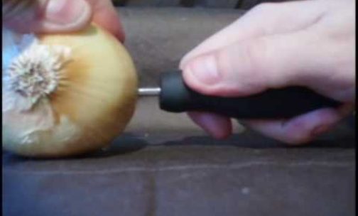 Charge your iPod with an Onion!?