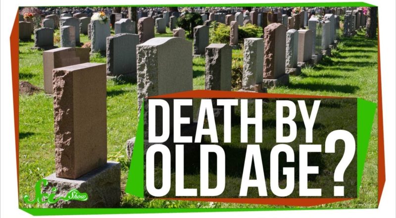 Can You Really Die of Old Age?