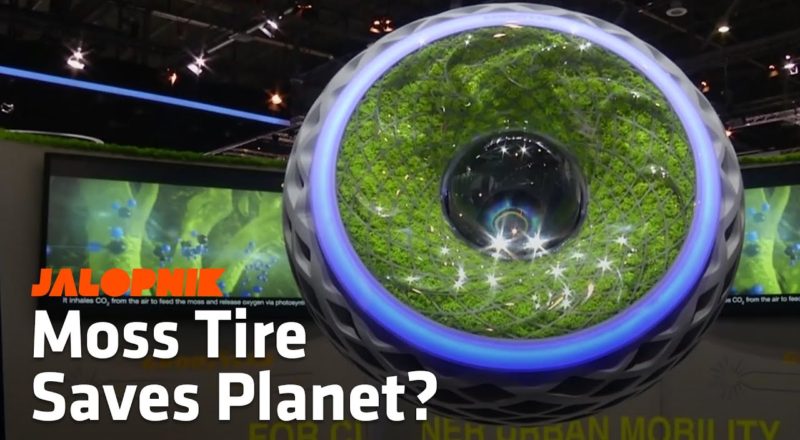 Could Goodyear's Moss Tire Save the Environment?
