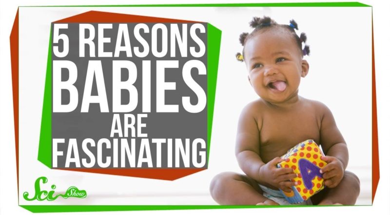Why Babies Are (Scientifically) Amazing