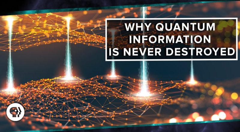 Why Quantum Information is Never Destroyed