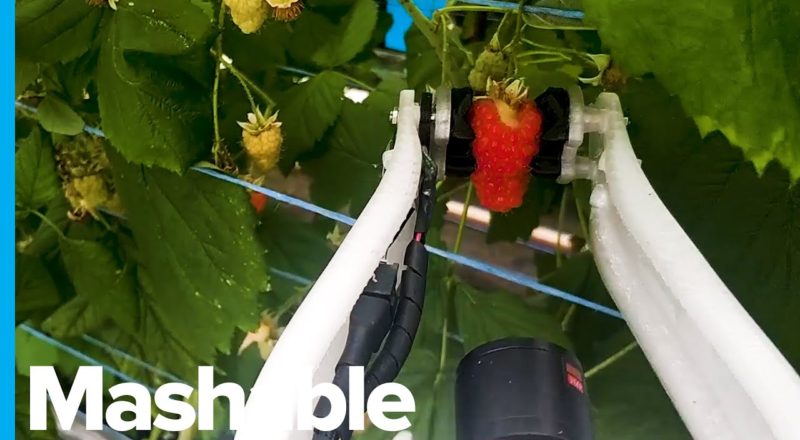 Robot Farmer Will Be Able To Work 20 Hours a Day