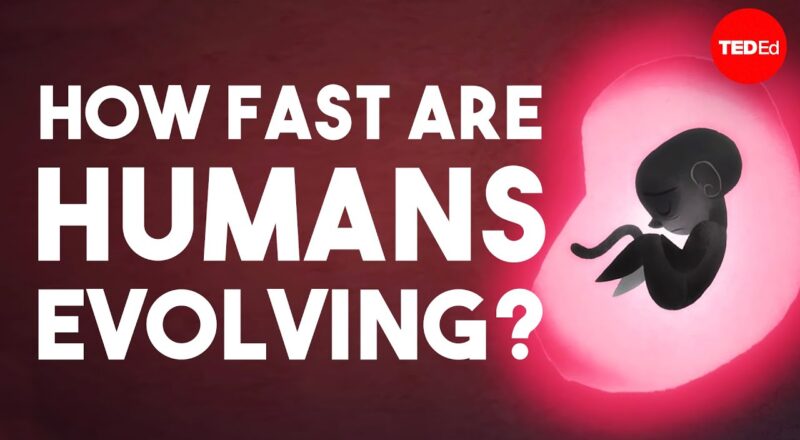 Is human evolution speeding up or slowing down?