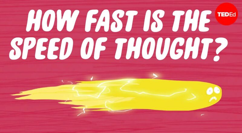 How fast is the speed of thought?