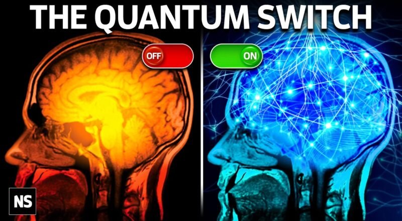 The Experiment That Could Explain Consciousness